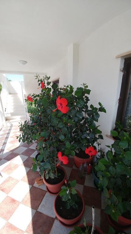 Appartement Antonio *
